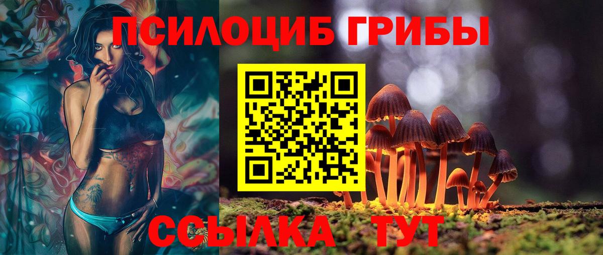 Шелехов  что такое наркотик  Вход с VPN  Галлюциногенные грибы Psilocybine cubensis 