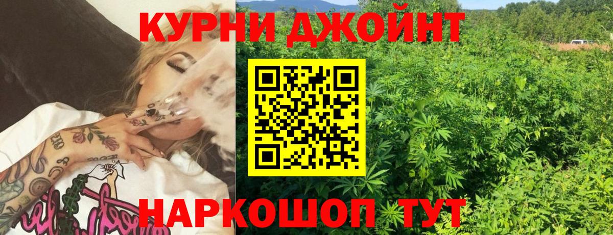 Канабис сатива Шелехов